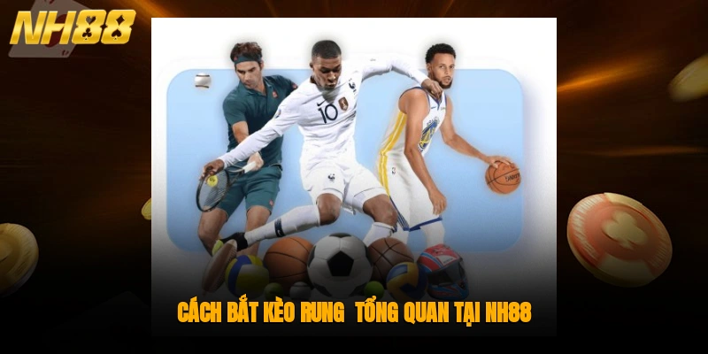 Cách bắt kèo rung - Tổng quan tại NH88