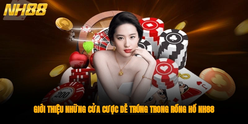 Tìm hiểu về nguồn gốc của trò chơi Rồng Hổ NH88